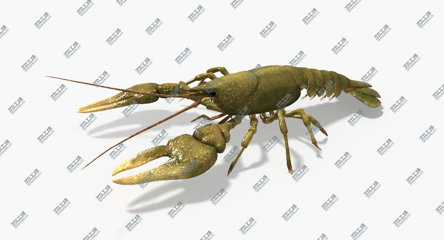 images/goods_img/2021040231/Crayfish (Animated)/3.jpg